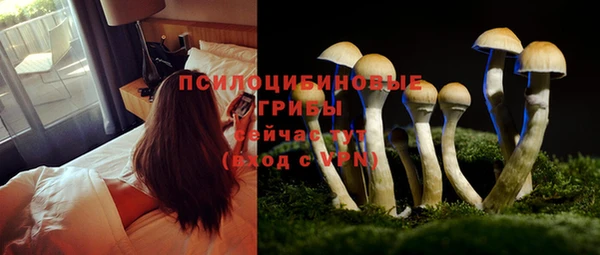 СК Горнозаводск