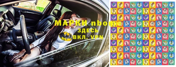 СК Горнозаводск