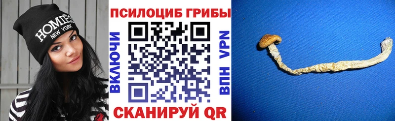 Псилоцибиновые грибы MAGIC MUSHROOMS  продажа наркотиков  Далматово 